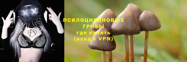 тгк Абинск