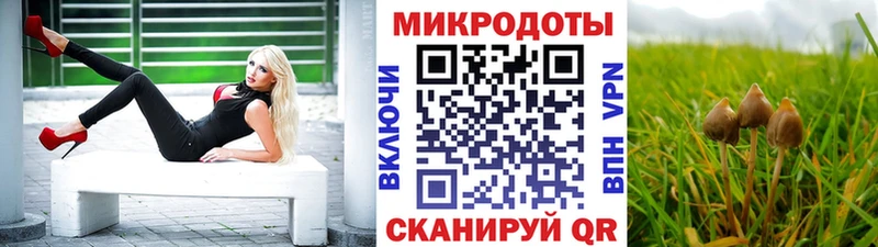 что такое наркотик  Ишимбай  mega ТОР  Галлюциногенные грибы Cubensis 