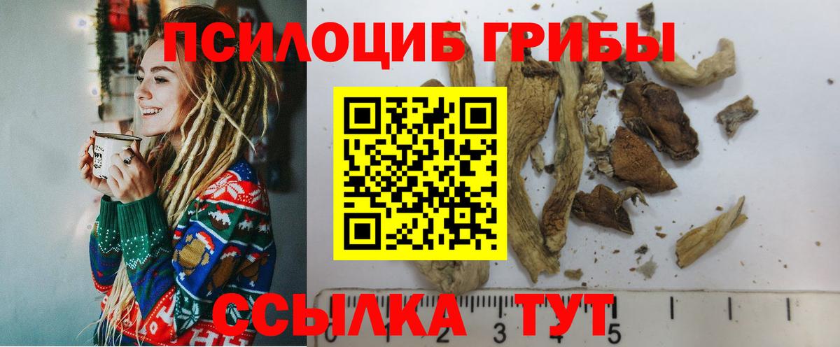 Галлюциногенные грибы мухоморы Ишимбай