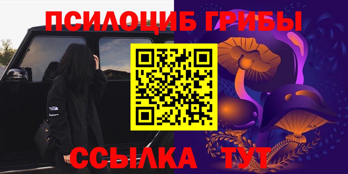 Ишимбай  Галлюциногенные грибы Psilocybe  Вход с VPN 