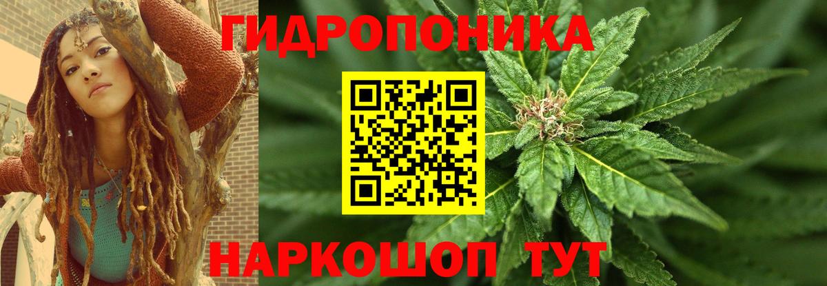 Шишки марихуана планчик Ишимбай